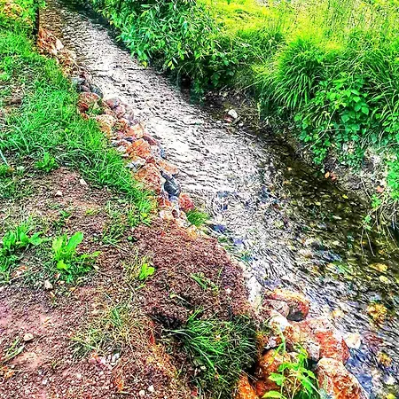 Nature *